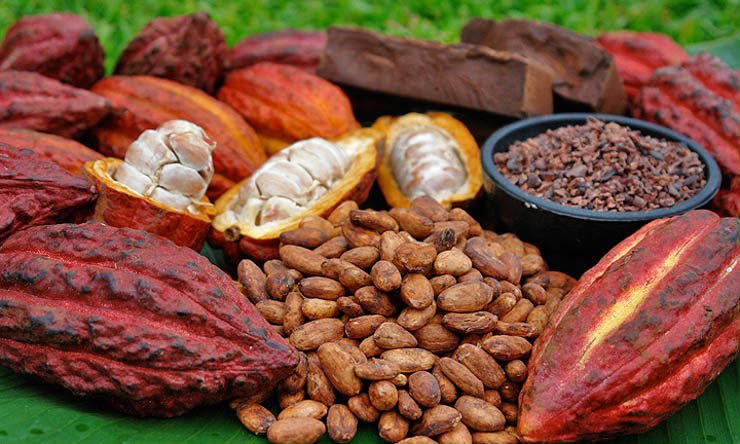 Chocolate mexicano: 10 datos que vale la pena conocer